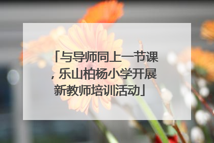 与导师同上一节课，乐山柏杨小学开展新教师培训活动