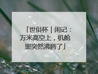 世俱杯｜闲记：万米高空上，机舱里突然沸腾了
