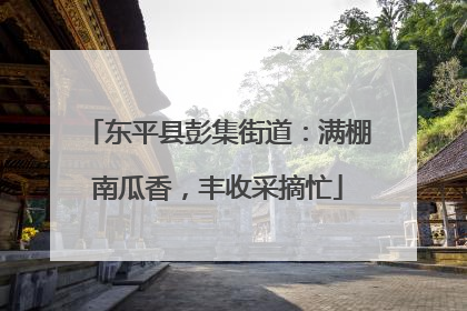 东平县彭集街道：满棚南瓜香，丰收采摘忙