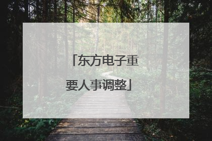 东方电子重要人事调整