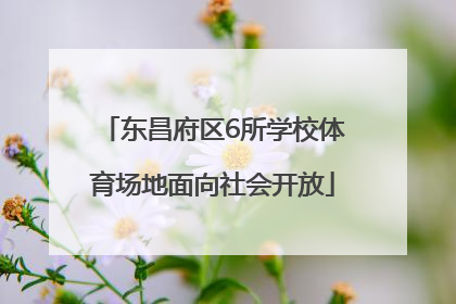 东昌府区6所学校体育场地面向社会开放