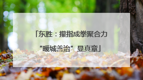 东胜：攥指成拳聚合力 “暖城善治”显真章