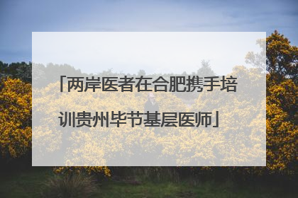 两岸医者在合肥携手培训贵州毕节基层医师