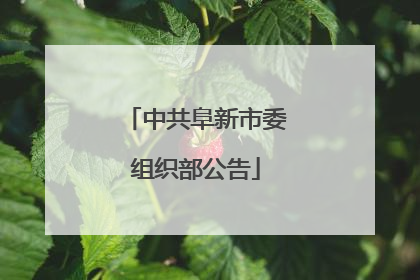 中共阜新市委组织部公告