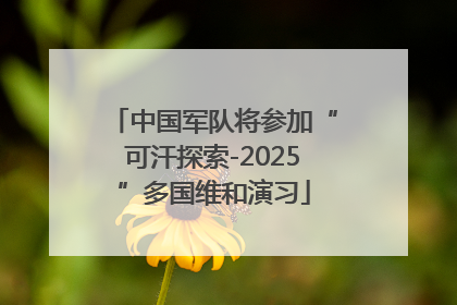 中国军队将参加“可汗探索-2025”多国维和演习