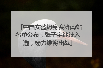 中国女篮热身赛济南站名单公布：张子宇继续入选，杨力维将出战