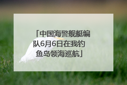 中国海警舰艇编队6月6日在我钓鱼岛领海巡航