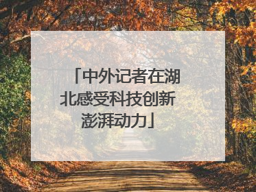 中外记者在湖北感受科技创新澎湃动力