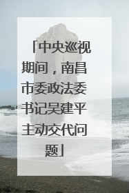 中央巡视期间，南昌市委政法委书记吴建平主动交代问题
