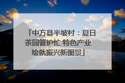 中方县半坡村：夏日茶园管护忙 特色产业绘就振兴新图景