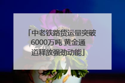 中老铁路货运量突破6000万吨 黄金通道释放强劲动能