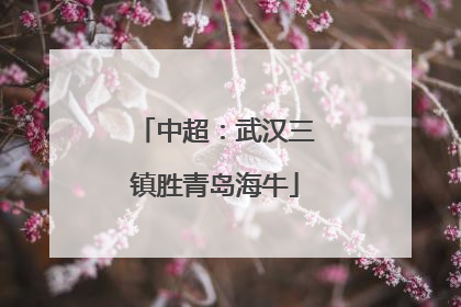中超：武汉三镇胜青岛海牛