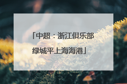 中超：浙江俱乐部绿城平上海海港