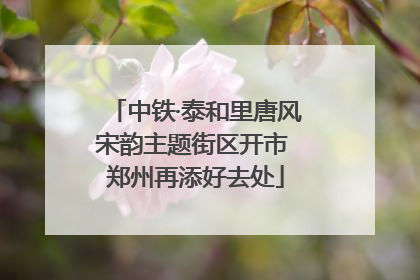 中铁·泰和里唐风宋韵主题街区开市 郑州再添好去处