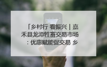 乡村行 看振兴｜嘉禾县龙潭牲畜交易市场：优惠赋能促交易 乡村振兴添动能