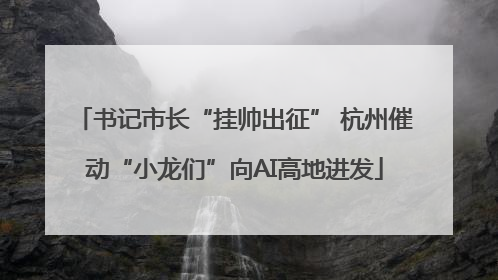 书记市长“挂帅出征” 杭州催动“小龙们”向AI高地进发