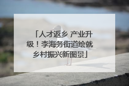 人才返乡 产业升级！李海务街道绘就乡村振兴新图景