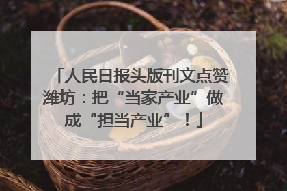 人民日报头版刊文点赞潍坊：把“当家产业”做成“担当产业”！