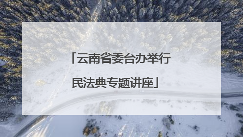 云南省委台办举行民法典专题讲座