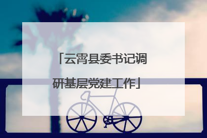 云霄县委书记调研基层党建工作