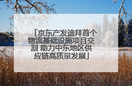 京东产发迪拜首个物流基础设施项目交割 助力中东地区供应链高质量发展