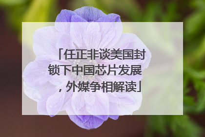 任正非谈美国封锁下中国芯片发展，外媒争相解读