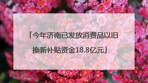 今年济南已发放消费品以旧换新补贴资金18.8亿元