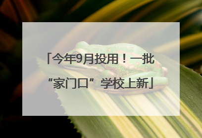今年9月投用！一批“家门口”学校上新