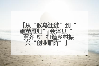 从“候鸟迁徙”到“破茧雁归” 会泽县“三翼齐飞”打造乡村振兴“创业雁阵”