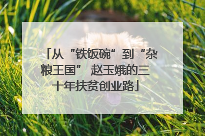 从“铁饭碗”到“杂粮王国” 赵玉娥的三十年扶贫创业路