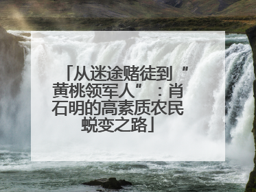 从迷途赌徒到“黄桃领军人”：肖石明的高素质农民蜕变之路