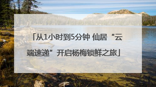 从1小时到5分钟 仙居“云端速递”开启杨梅锁鲜之旅