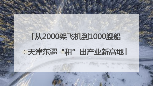 从2000架飞机到1000艘船：天津东疆“租”出产业新高地
