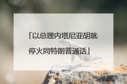 以总理内塔尼亚胡就停火同特朗普通话