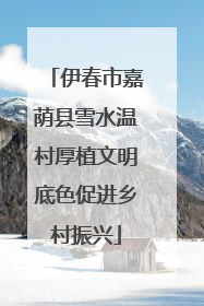 伊春市嘉荫县雪水温村厚植文明底色促进乡村振兴