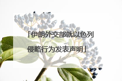伊朗外交部就以色列侵略行为发表声明