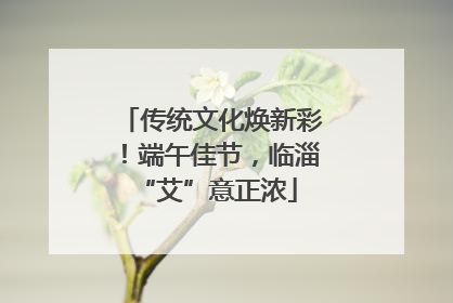 传统文化焕新彩！端午佳节，临淄 “艾”意正浓