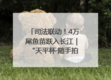 司法联动！4万尾鱼苗跃入长江｜“天平杯·随手拍”作品展播
