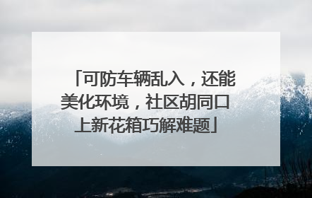 可防车辆乱入，还能美化环境，社区胡同口上新花箱巧解难题