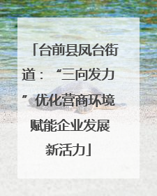 台前县凤台街道：“三向发力”优化营商环境 赋能企业发展新活力
