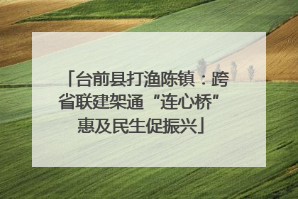 台前县打渔陈镇：跨省联建架通“连心桥” 惠及民生促振兴