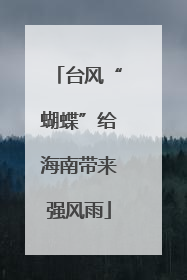 台风“蝴蝶”给海南带来强风雨