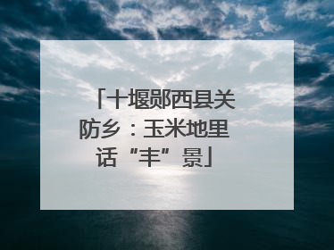 十堰郧西县关防乡：玉米地里话“丰”景