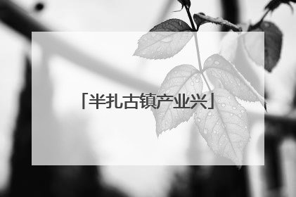 半扎古镇产业兴
