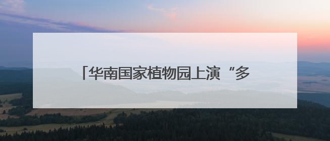 华南国家植物园上演“多肉界玫瑰传奇”，从呆萌树干到炸裂种子全是戏！