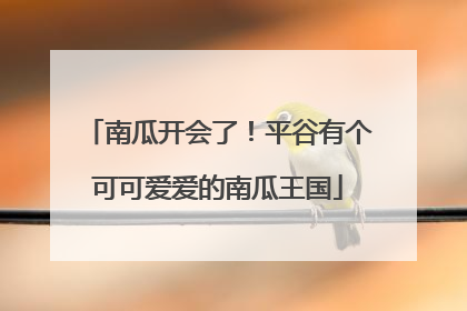南瓜开会了！平谷有个可可爱爱的南瓜王国