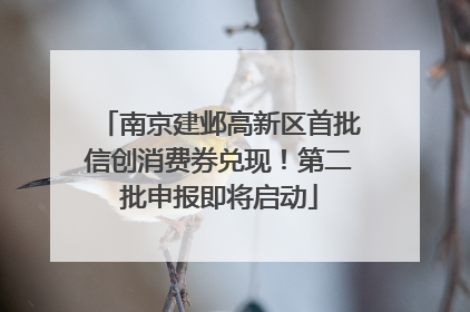 南京建邺高新区首批信创消费券兑现！第二批申报即将启动