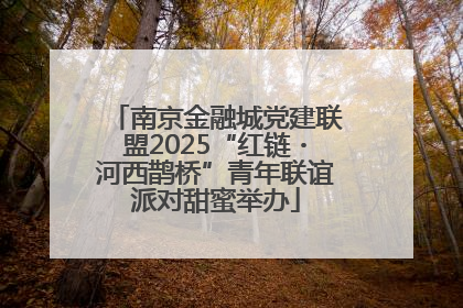 南京金融城党建联盟2025“红链・河西鹊桥”青年联谊派对甜蜜举办