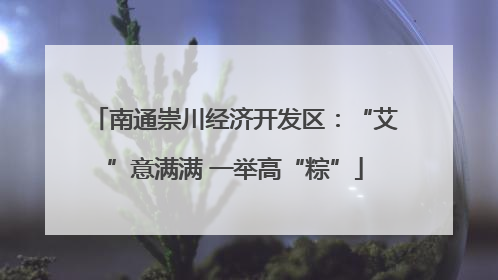南通崇川经济开发区：“艾”意满满 一举高“粽”