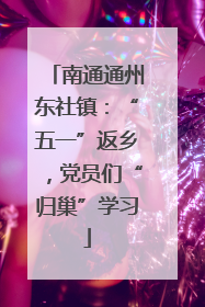 南通通州东社镇：“五一”返乡，党员们“归巢”学习